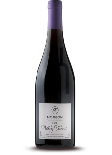 Morgon - Domaine Anthony Thévenet