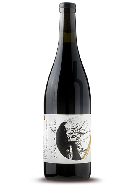 Vin de France - Terre à Terre - Laura Aillaud