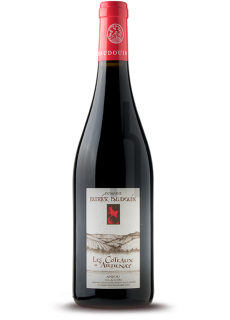 Anjou Coteaux d'Ardenay - Domaine Patrick Baudouin